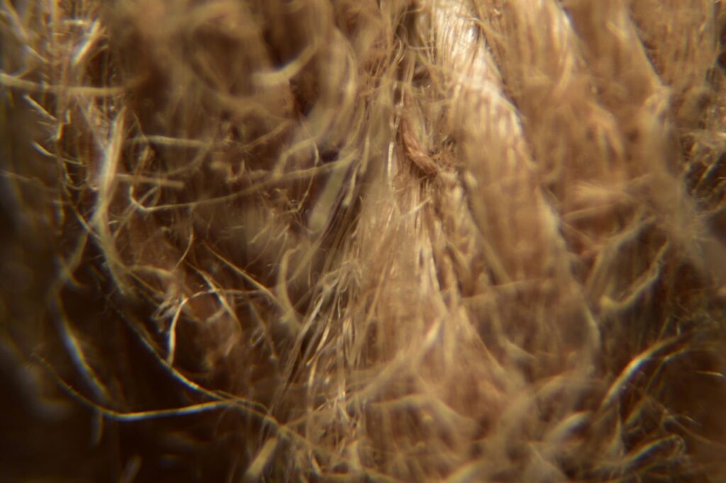 How cotton pillowcases damage hair up close
