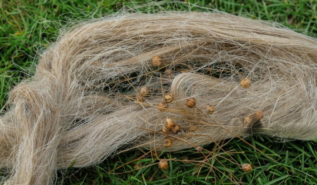 A time-lapse composite showing the same bundle of flax stalks over 6 weeks - from golden fresh-cut to silvery-gray decomposition. Include an insert of a farmer's weathered hands testing fibers.