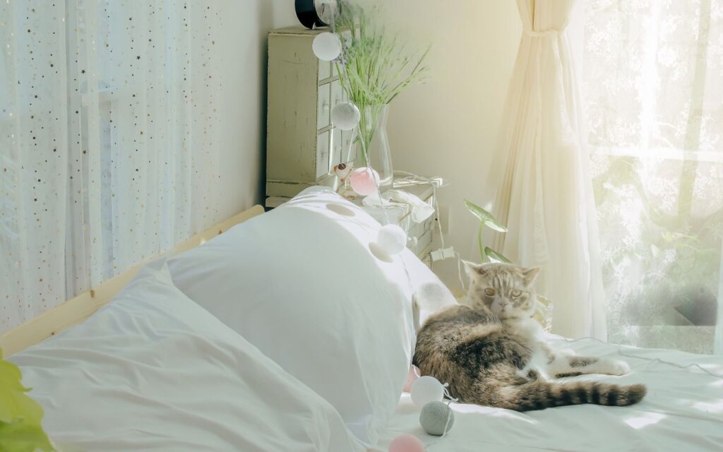 A beloved pet adds a whole other layer of biological material to your bed's ecosystem.
