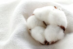 The dense, smooth weave of authentic long-staple Egyptian cotton, promising cool, crisp luxury.