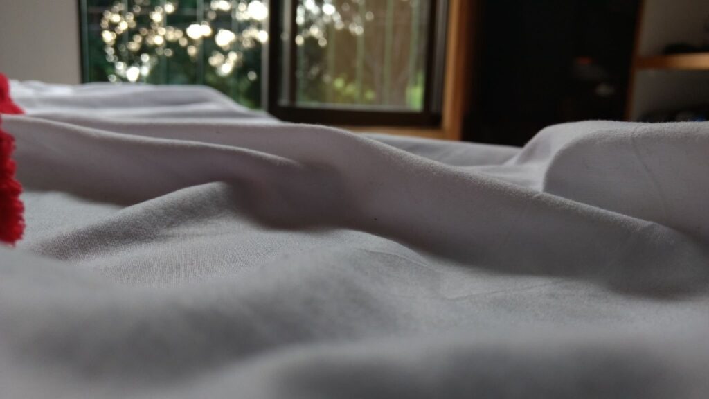 The source of it all—a sustainable bamboo forest, where the journey to silky sheets begins.